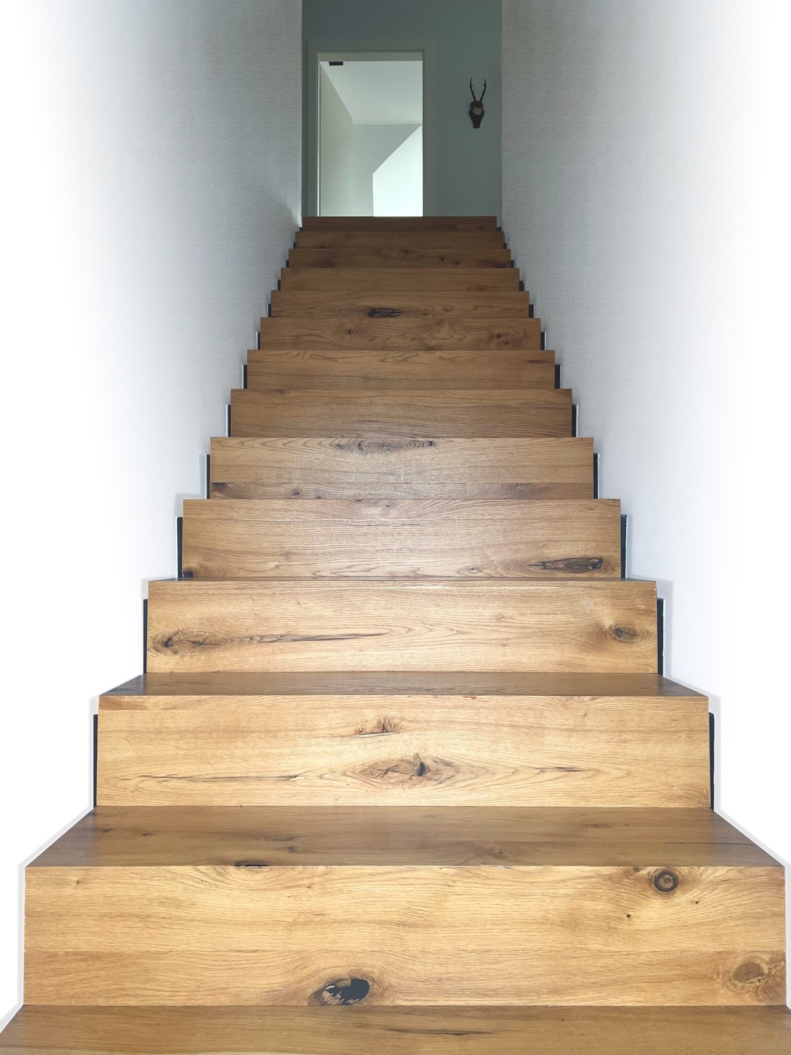Haus 2 – Trierer Heide